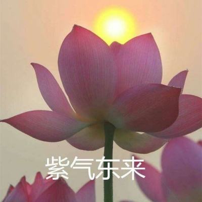 浮生一剑手游(暂未上线)v1.0.0 安卓版